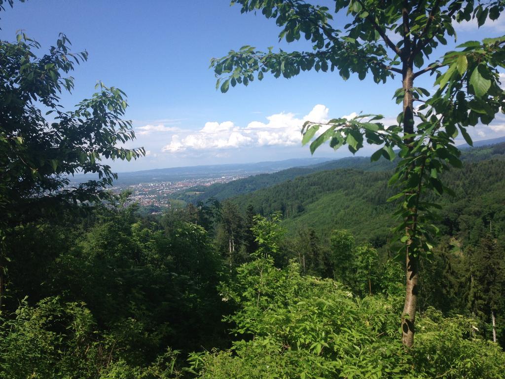 Familien Themen-Appartement Freiburg In Soelden 2 Schlafzimmer 외부 사진