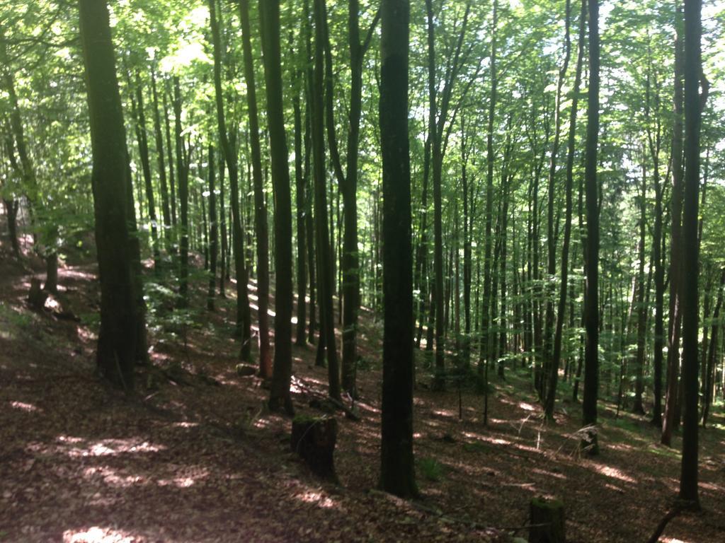 Familien Themen-Appartement Freiburg In Soelden 2 Schlafzimmer 외부 사진